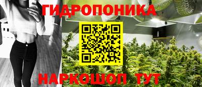 крисы Малоярославец