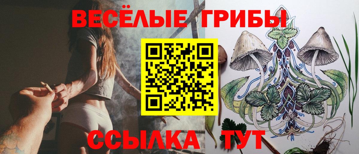 Вязьма  Галлюциногенные грибы MAGIC MUSHROOMS  Вход с VPN  Галлюциногенные грибы мицелий 